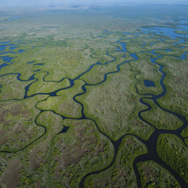 Comprehensive Everglades Restoration Plan (CERP)