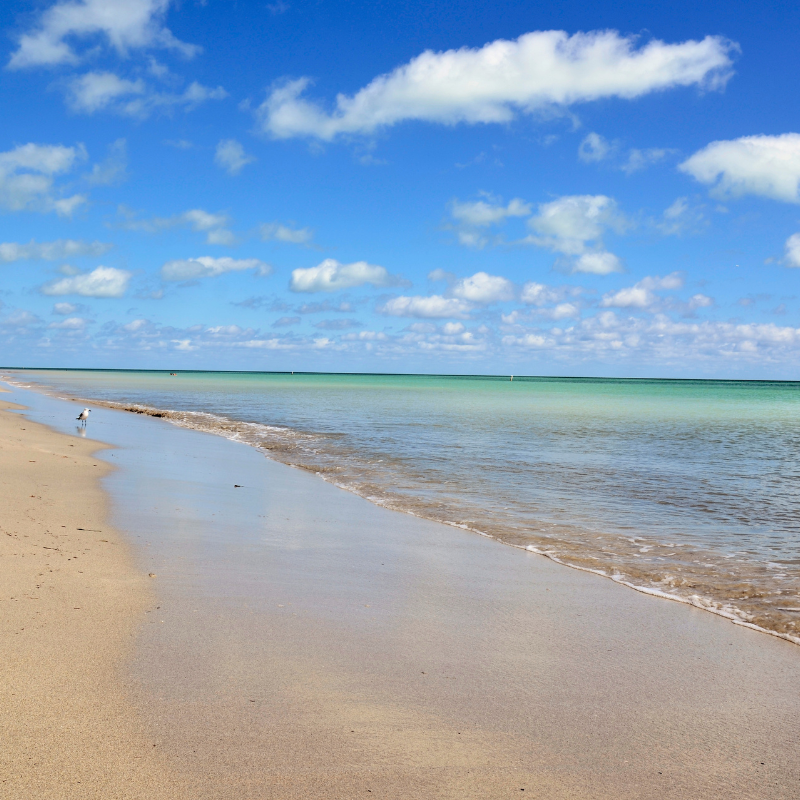 Bill Baggs Cape Florida State Park