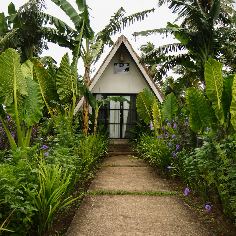Eco-Friendly Accommodations