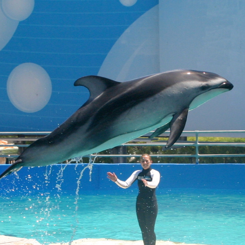 Educational Encounters at the Miami Seaquarium