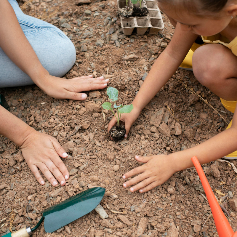 Engage with Hands-on Environmental Workshops
