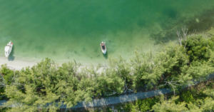 Essential Guide to Miami's Ecotourism