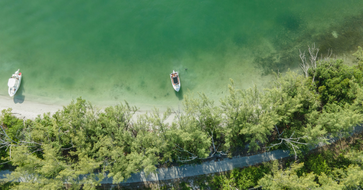 Essential Guide to Miami's Ecotourism
