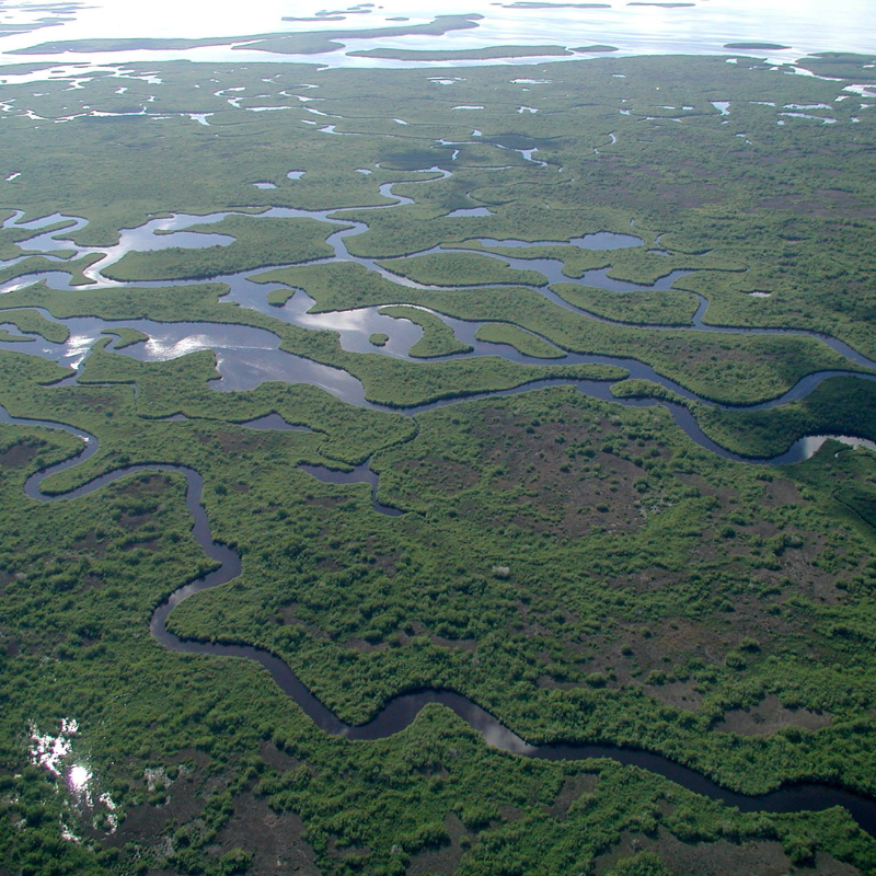 Everglades National Park