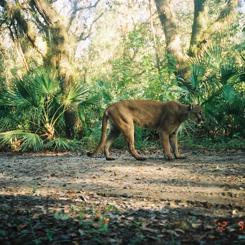 Everglades National Park