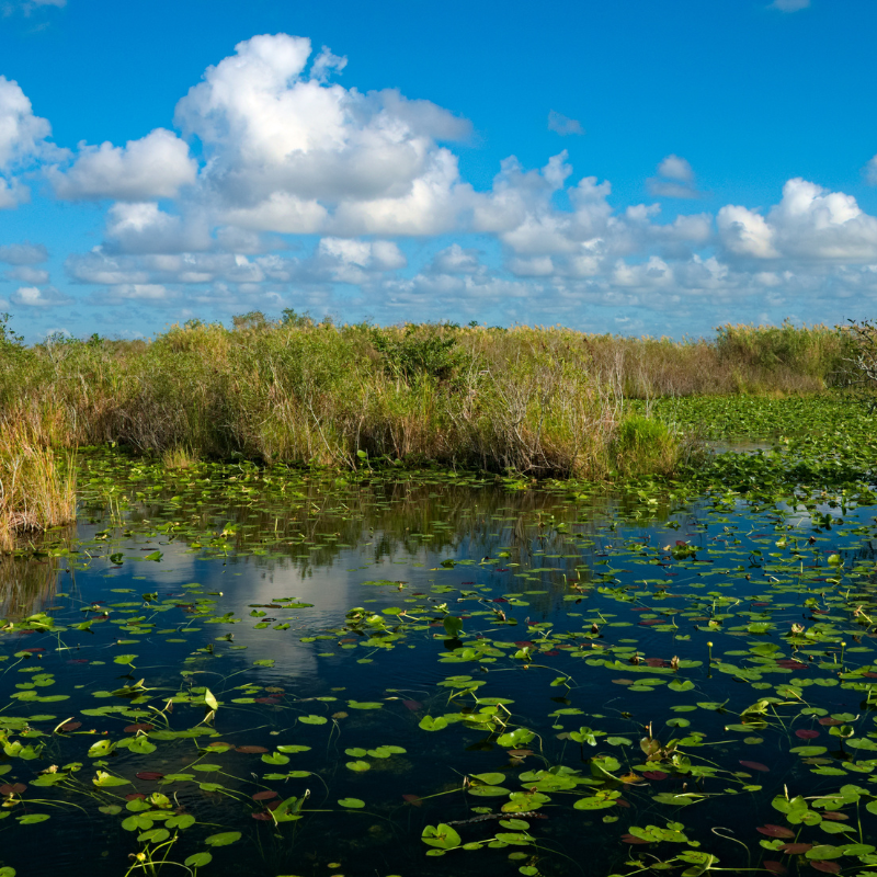 Everglades National Park