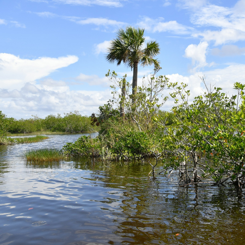 Everglades Restoration Initiatives