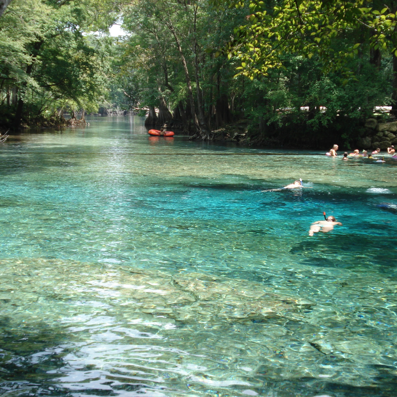 Ginnie Springs