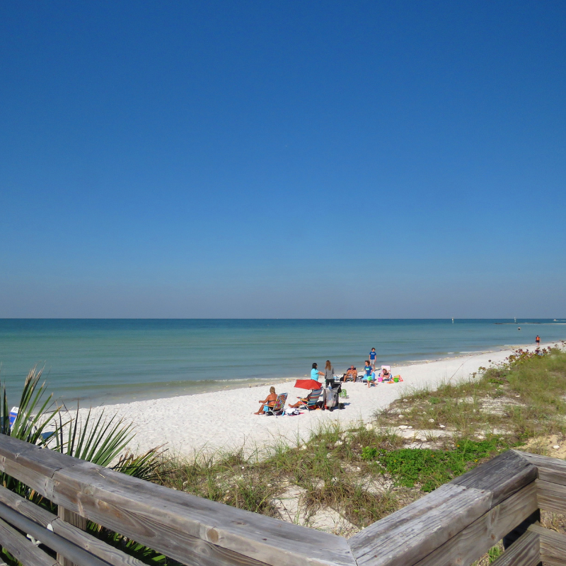 Honeymoon Island State Park, Dunedin