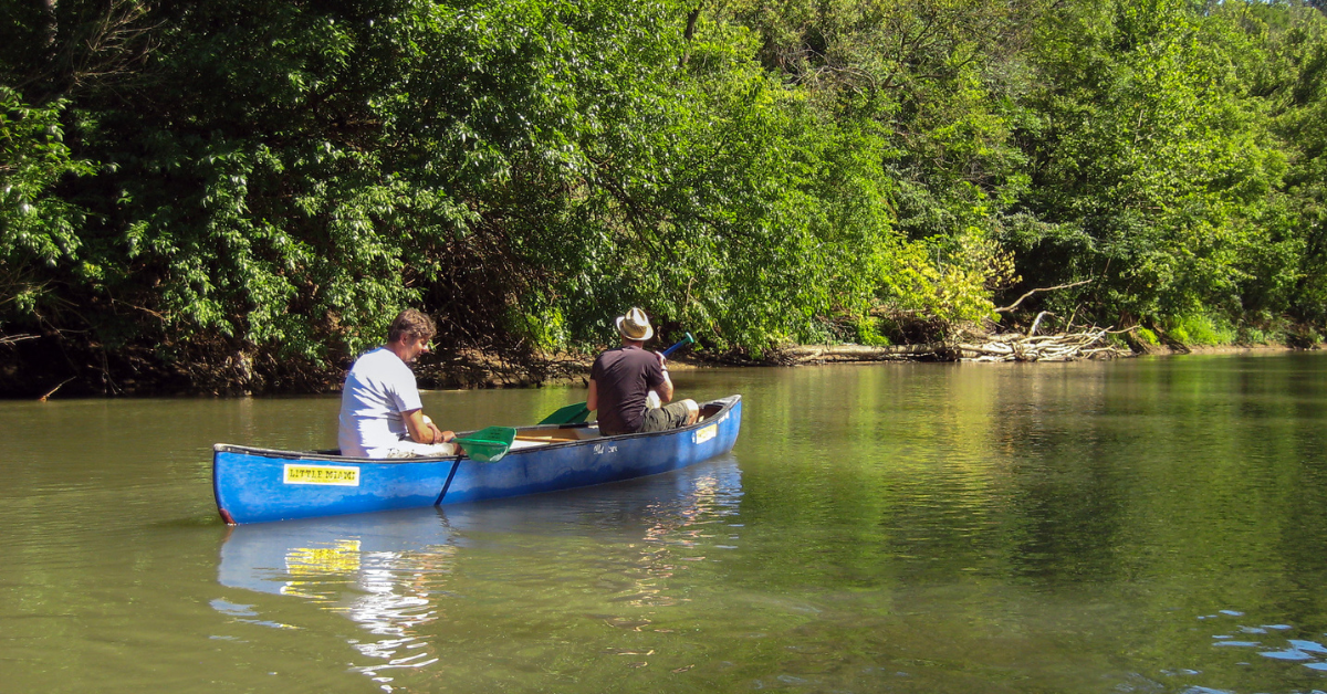 Importance of Ecotourism in Wildlife Conservation