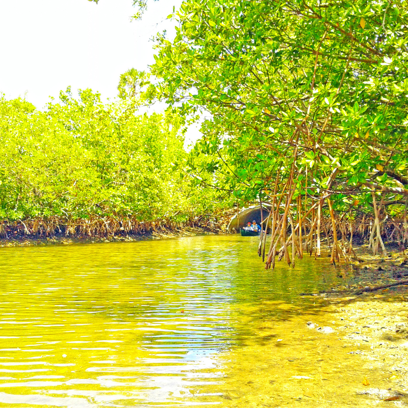 Oleta River State Park