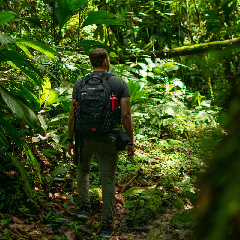 Positive Impacts of Ecotourism