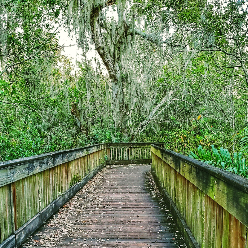 Sawgrass Lake Park, St. Pete