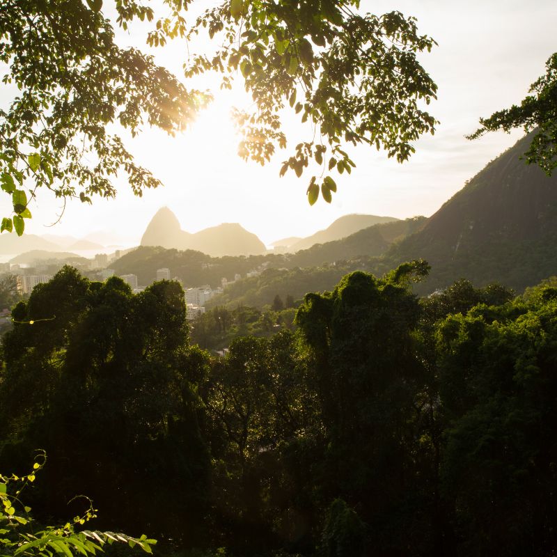 Tijuca National Park