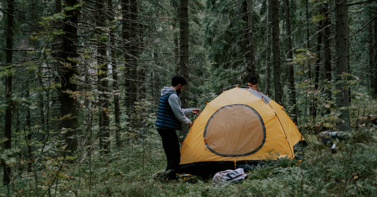 EcoTourism