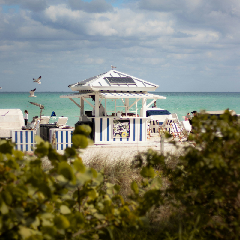Week-Long Eco-Friendly Miami Itinerary