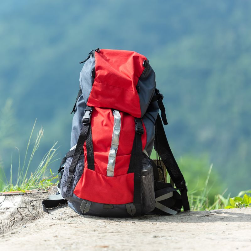 Travel Backpack