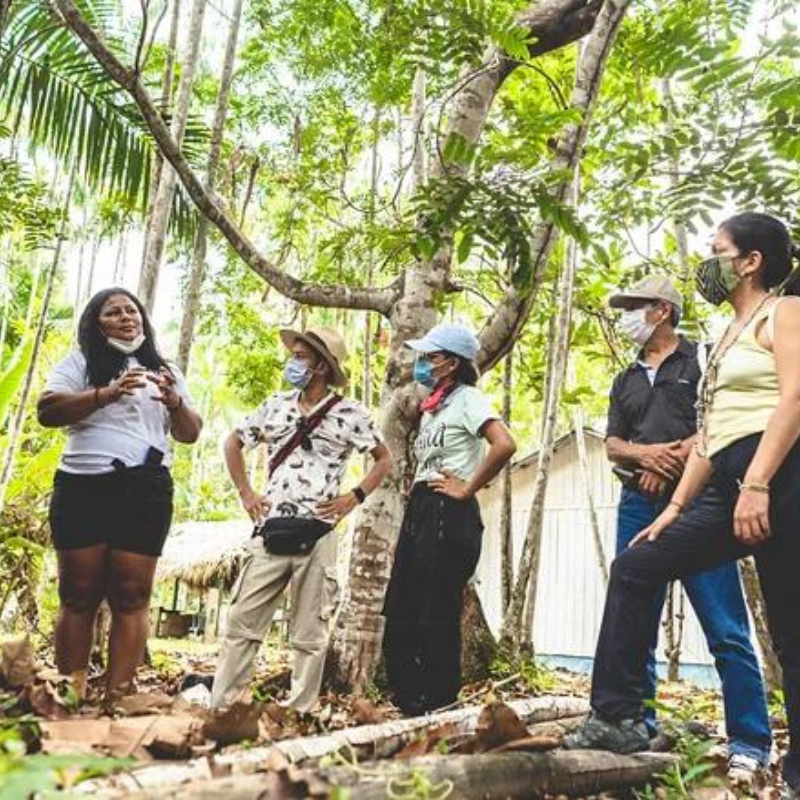 gautemala turns to ecotourism