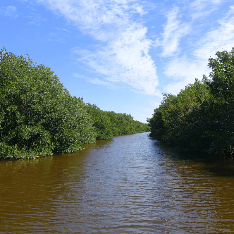 Everglades National Park