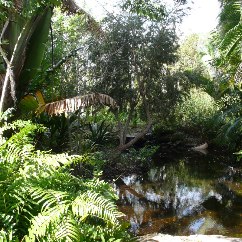 Naples Safari Adventure