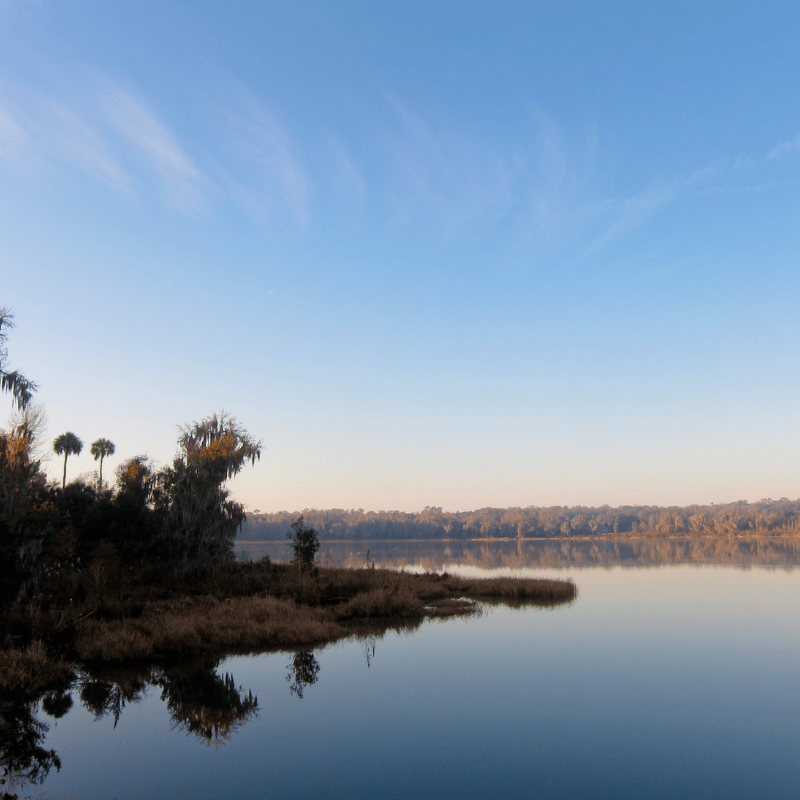 Paynes Prairie Preserve State Park
