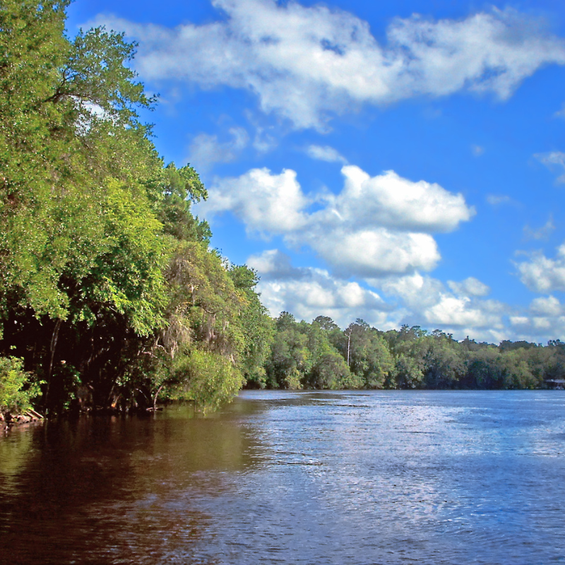 suwannee river