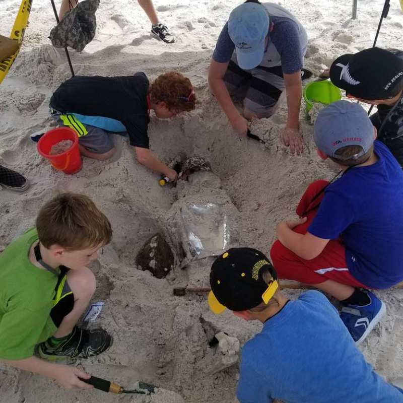 National Parks Junior Ranger Programs