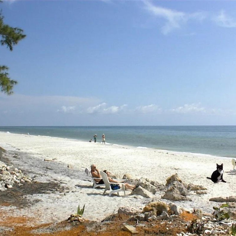 Eco Friendly Beach Activities 