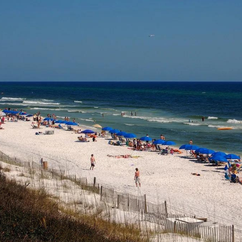 Eco Friendly Beach Activities 