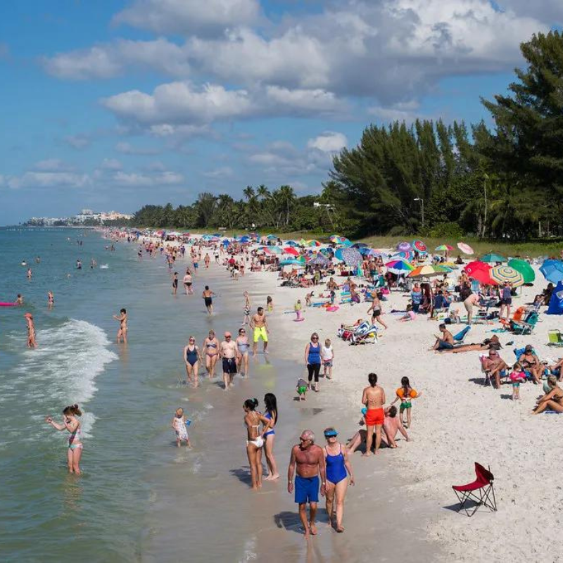 Eco Friendly Beach Activities 