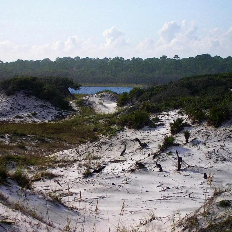Eco Friendly Travel Destinations