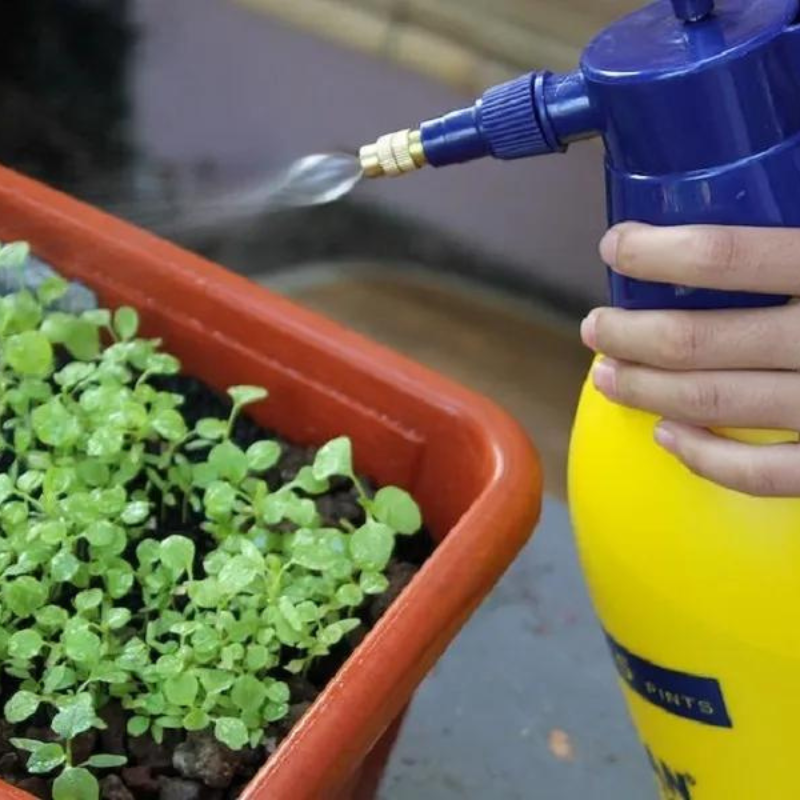 Green Living Activities For Families