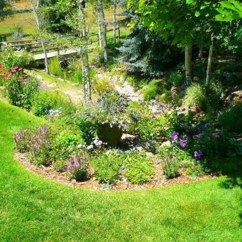Green Living Activities For Families