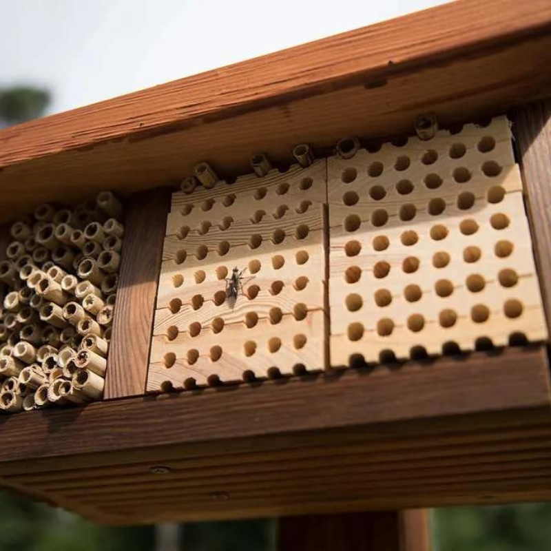 Green Living Activities For Families