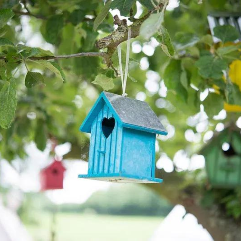 Green Living Activities For Families