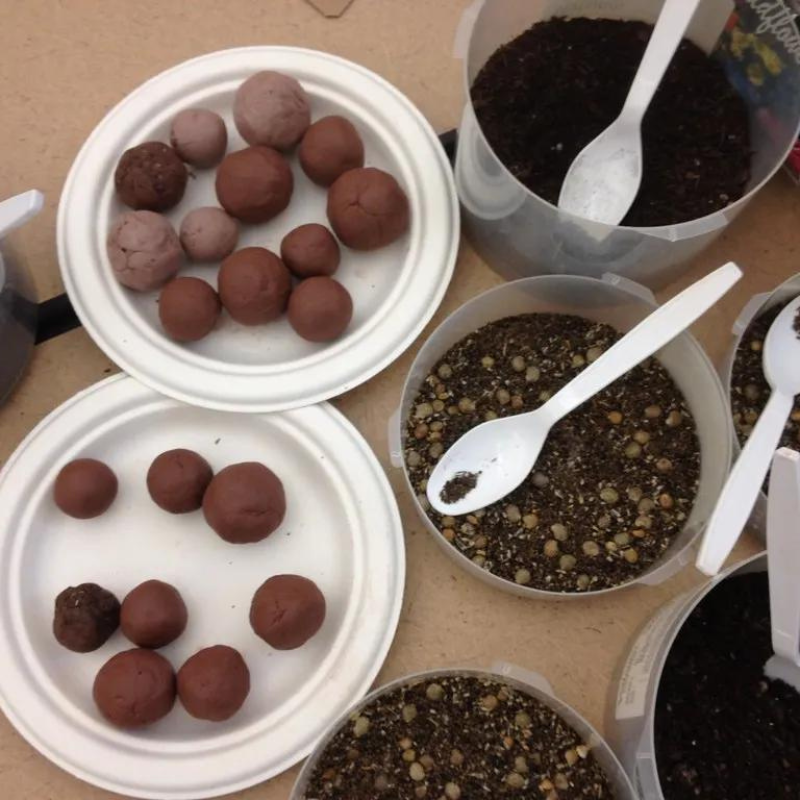 Green Living Activities For Families