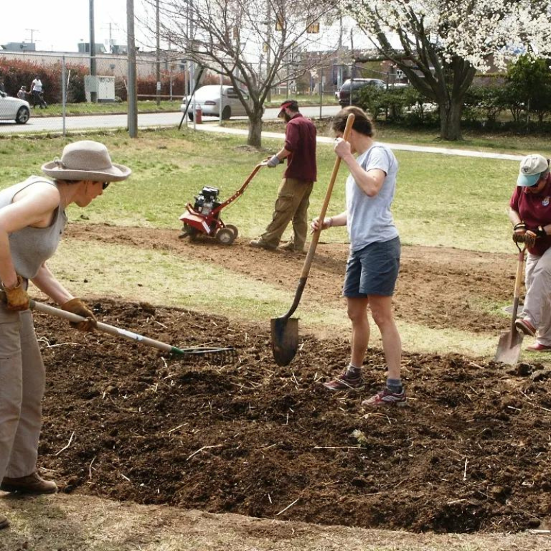 Green Living Activities For Families