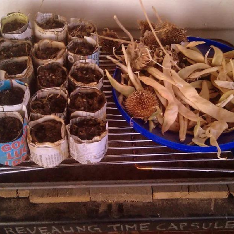 Newspaper Seedling Pots