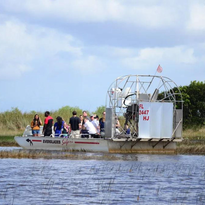 Florida Everglades Airboat Ride And Wildlife Adventure