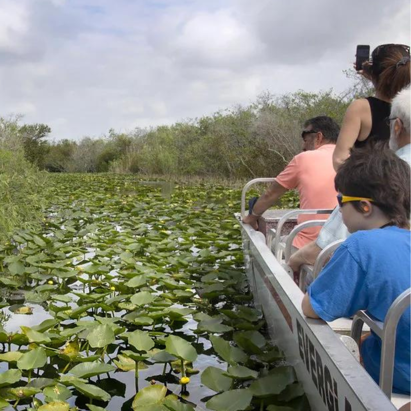Everglades Day Safari From Ft Lauderdale