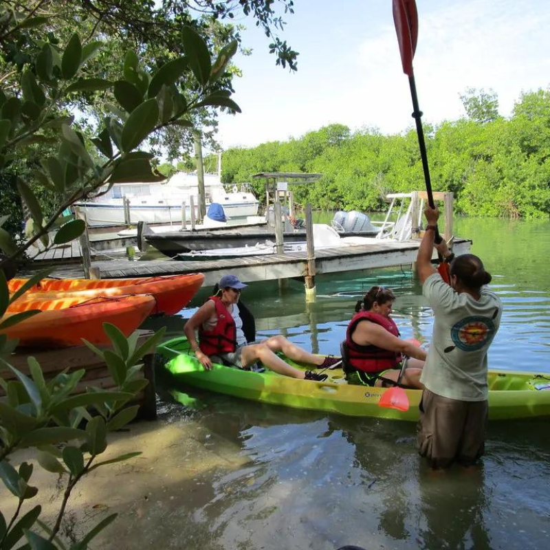 Eco Friendly Tour Operators