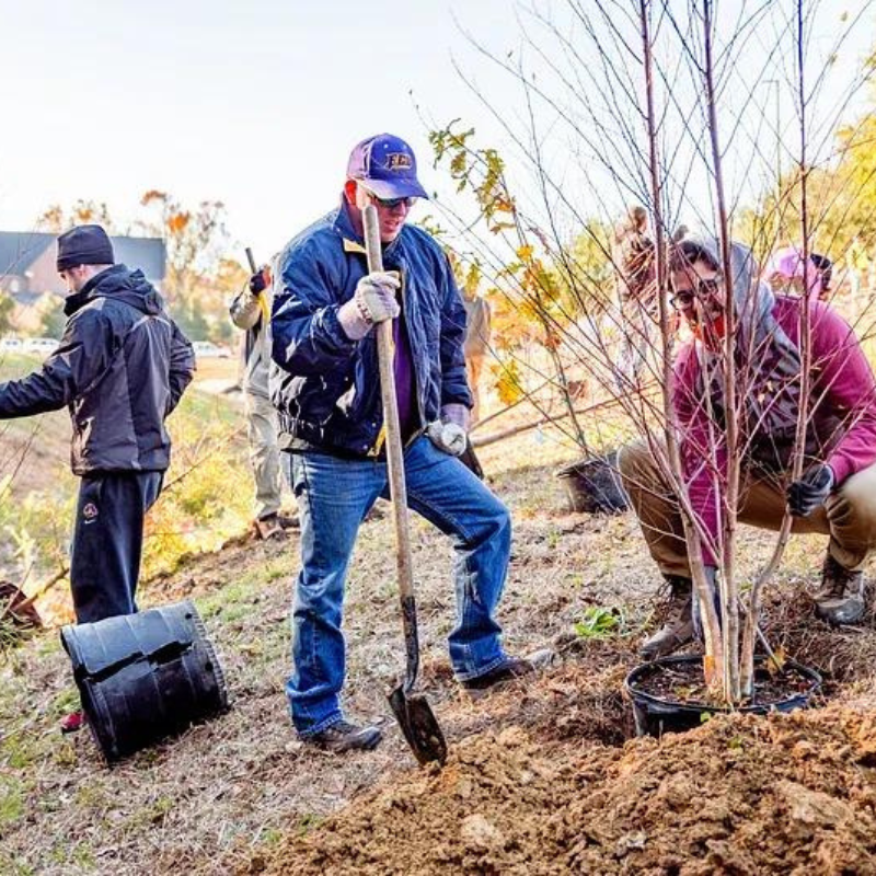 Carbon offset programs
