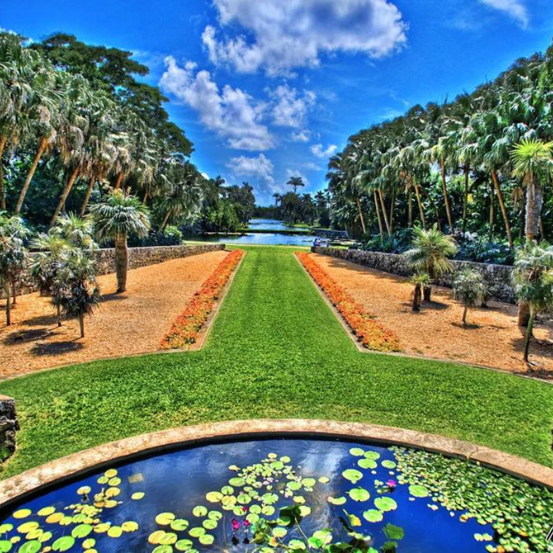Conservation Efforts in Miami