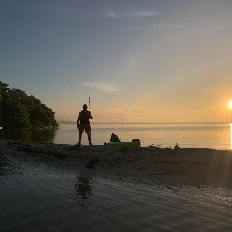 Conservation Efforts in Miami