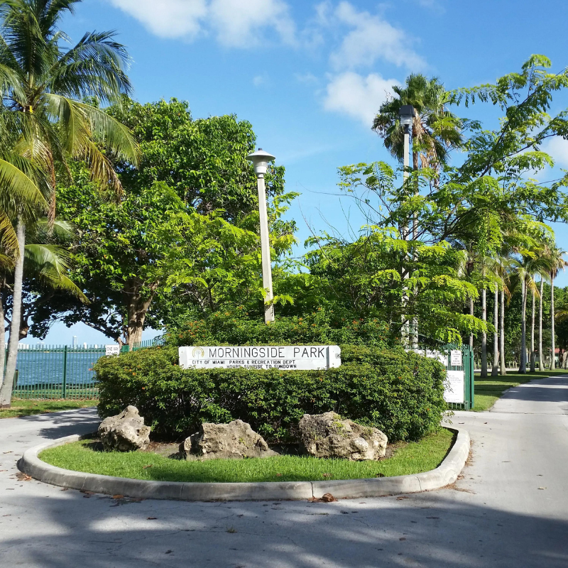 Conservation Efforts in Miami