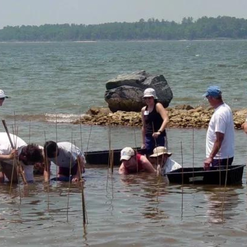 Conservation Efforts in Miami
