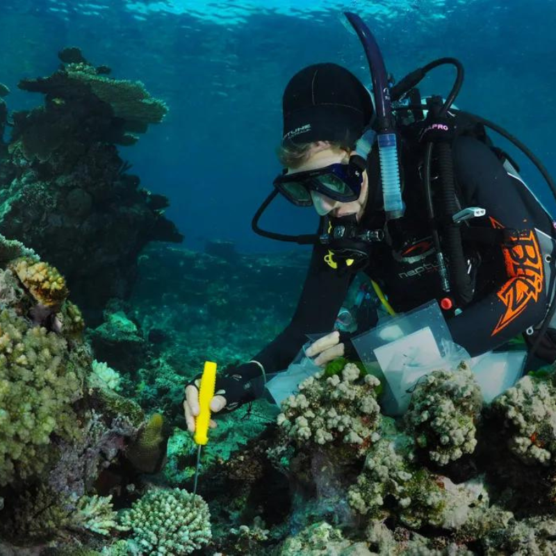 Coral Restoration Foundation