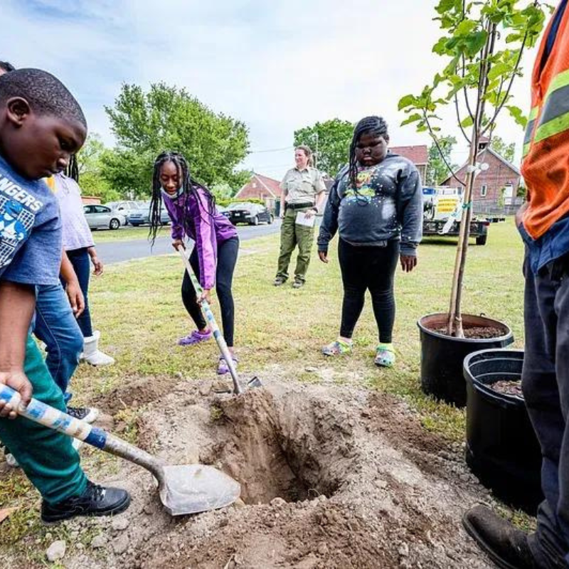 Community Tree Planting