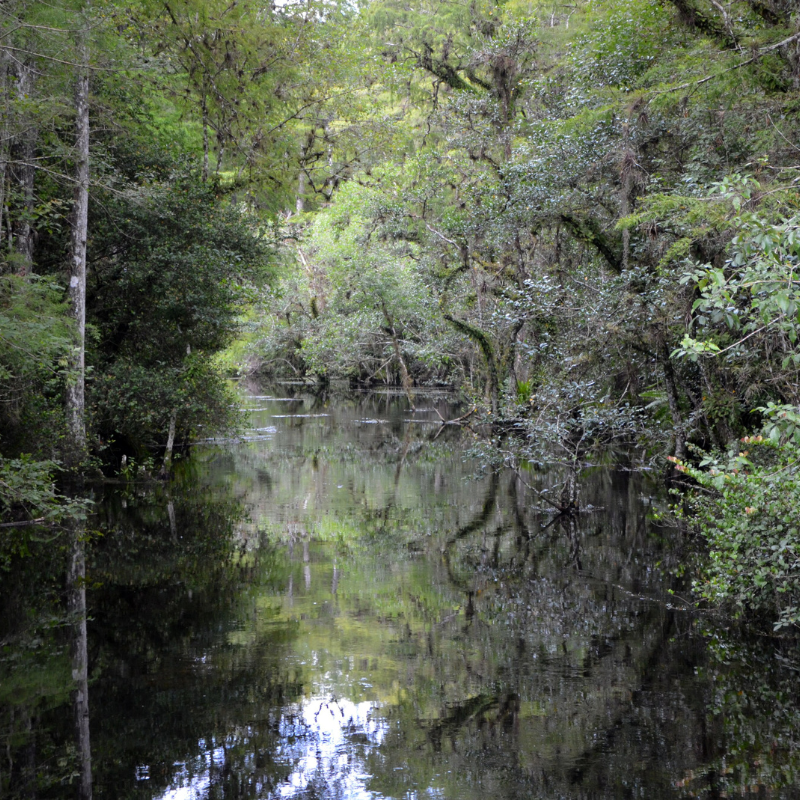 Big Cypress National Preserve