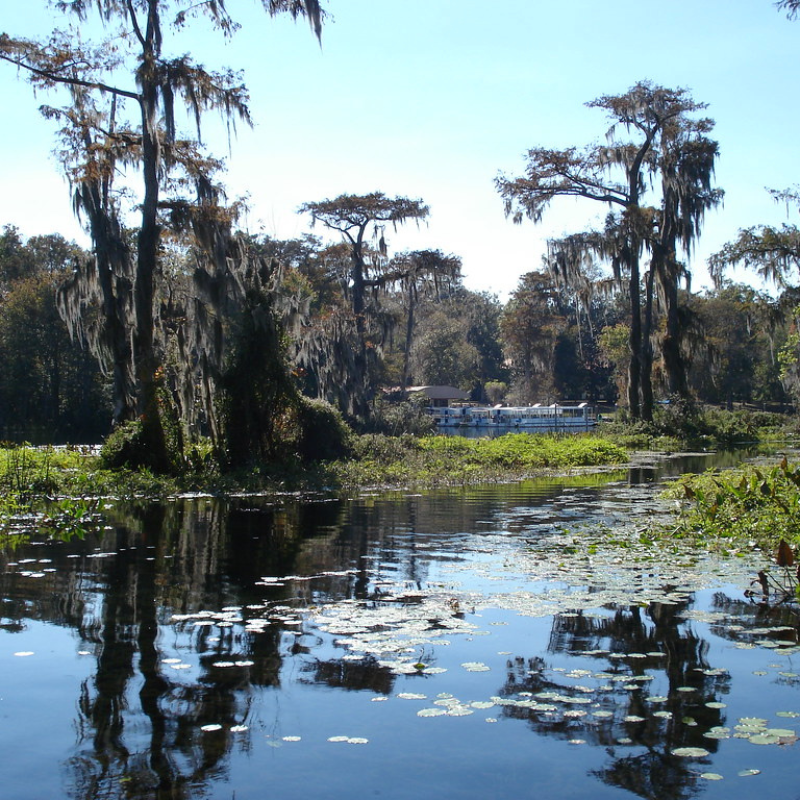 Wakulla Springs